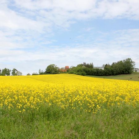 Balkon, Gratis Nutzung Vom Ahoi Erlebnisbad Und Sauna In Sellin- Meeresblick Fewo 59 奥斯特巴德·哥伦 外观 照片